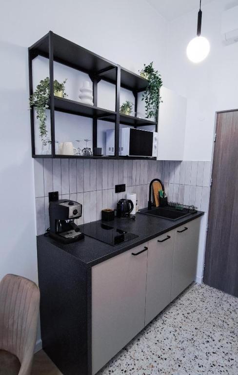 Lion Apartments - Premium Studio Krasków Eksteriør bilde
